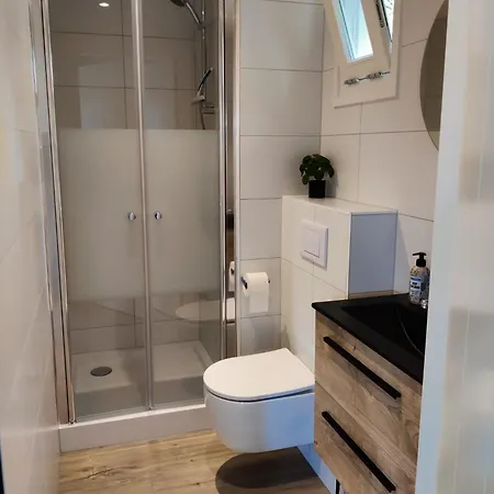 Chalet Park De Driesprong *