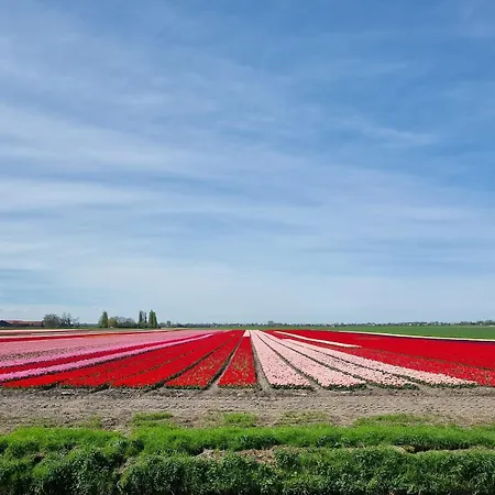 De Driesprong *
