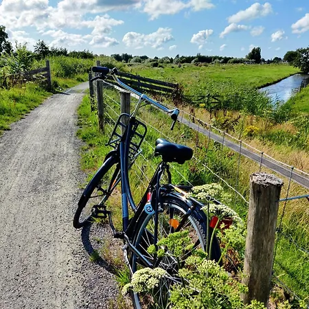 Park De Driesprong Chalet *
