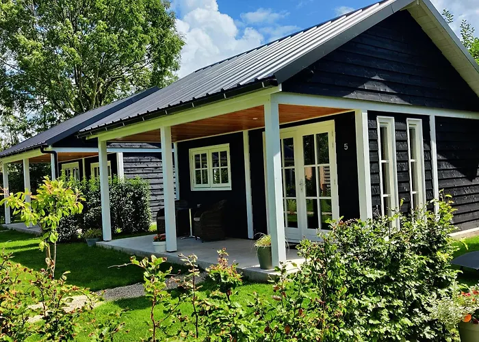 Chalet Park De Driesprong *