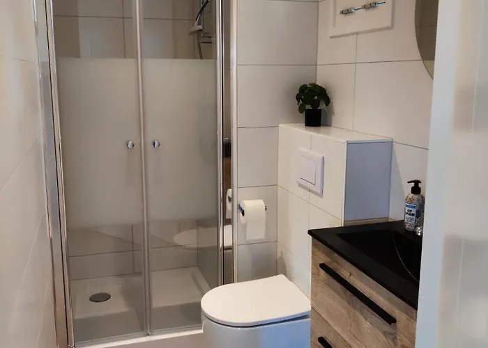 Chalet Park De Driesprong *