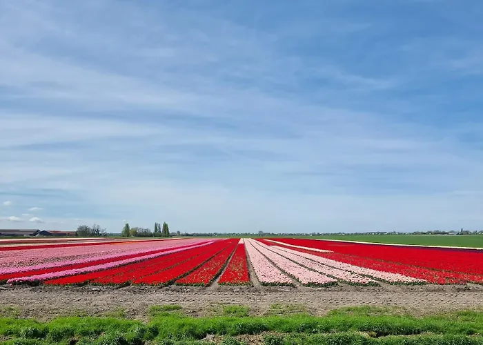 Park De Driesprong *