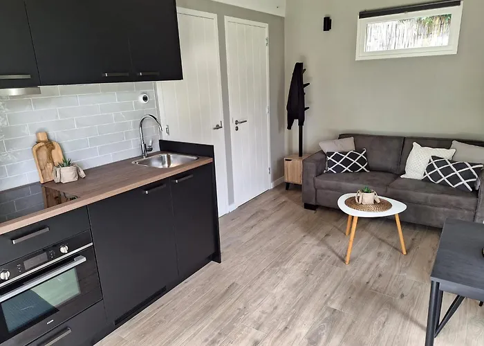 Park De Driesprong * ニーウフェーン